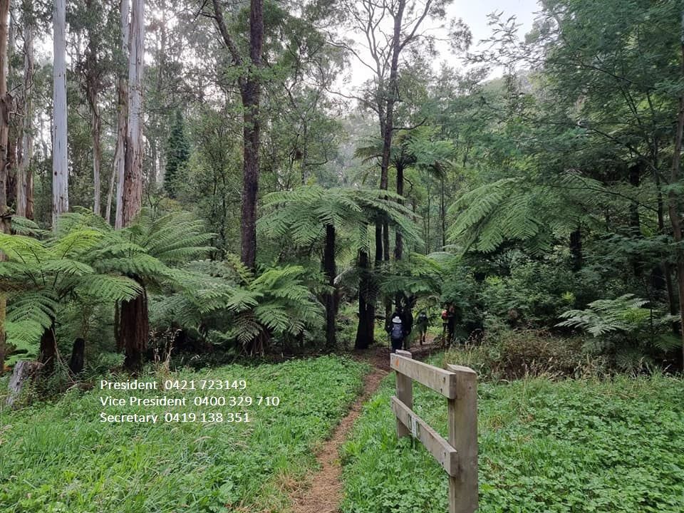 Braeside Park morning walk and Coffee 