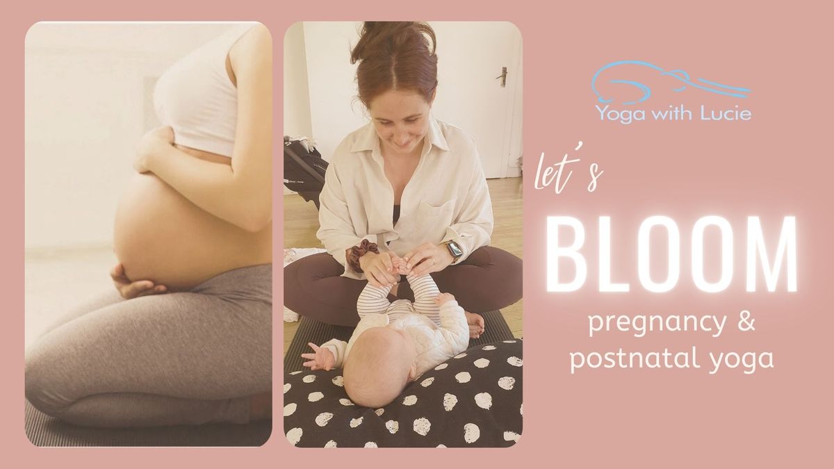 Prenatal Nurture Yoga