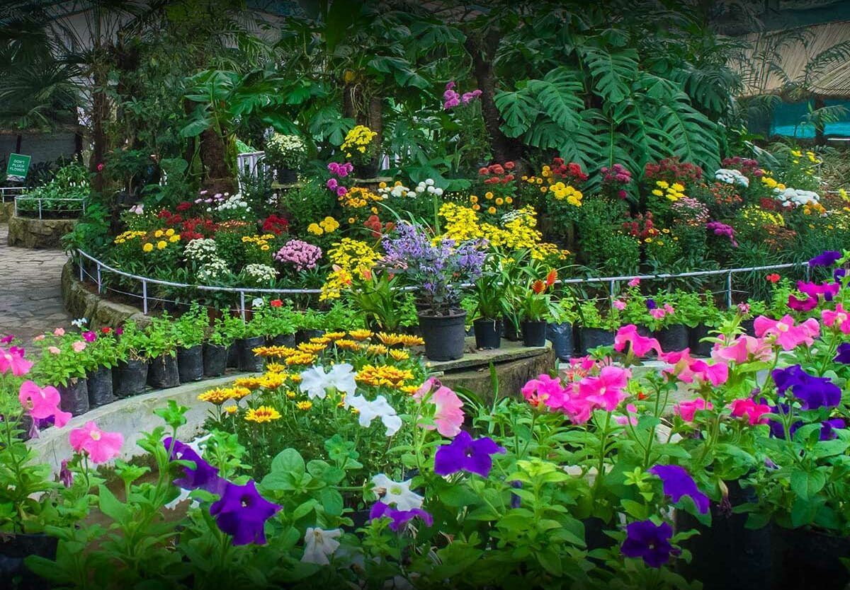 2025 Indiana Flower and Patio Show - Thursday at Indiana State Fairgrounds