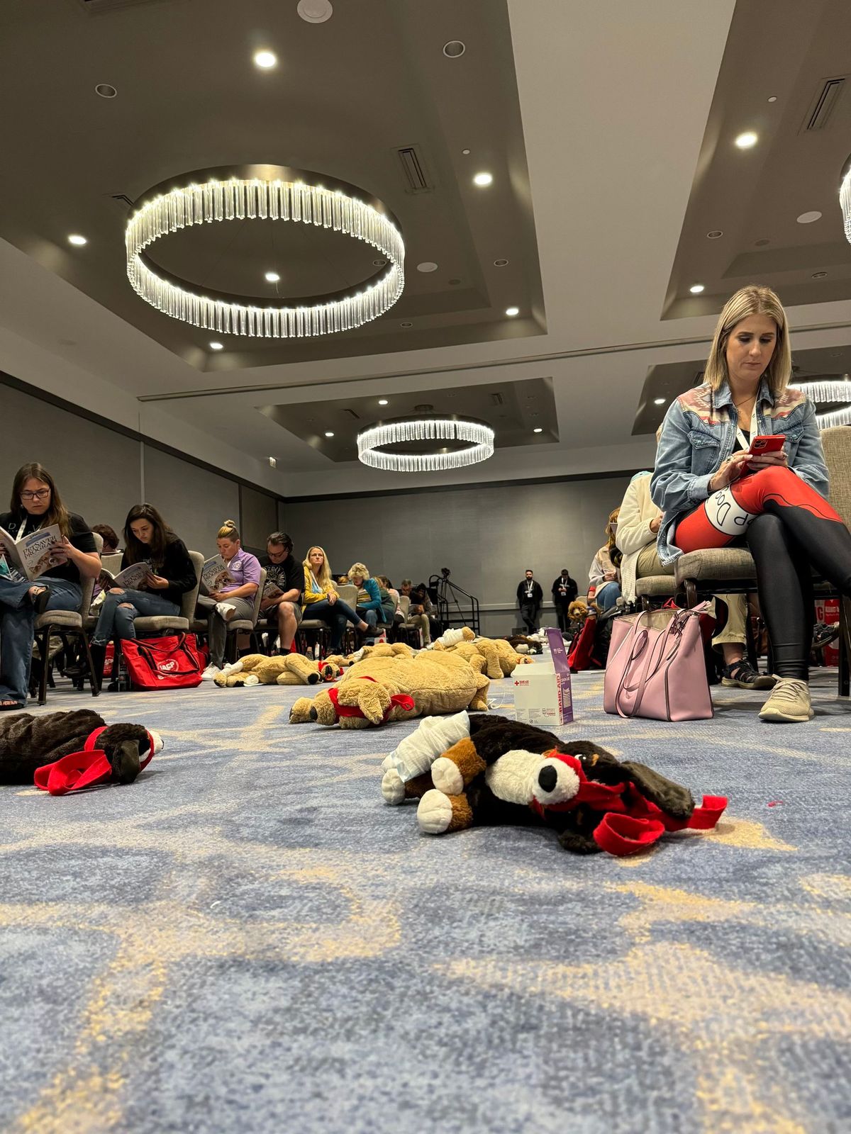 Pet CPR and First Aid Class