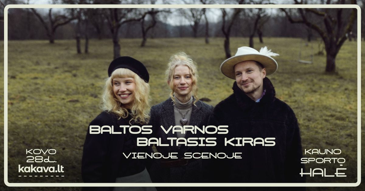 BALTOS VARNOS ir BALTASIS KIRAS vienoje scenoje 