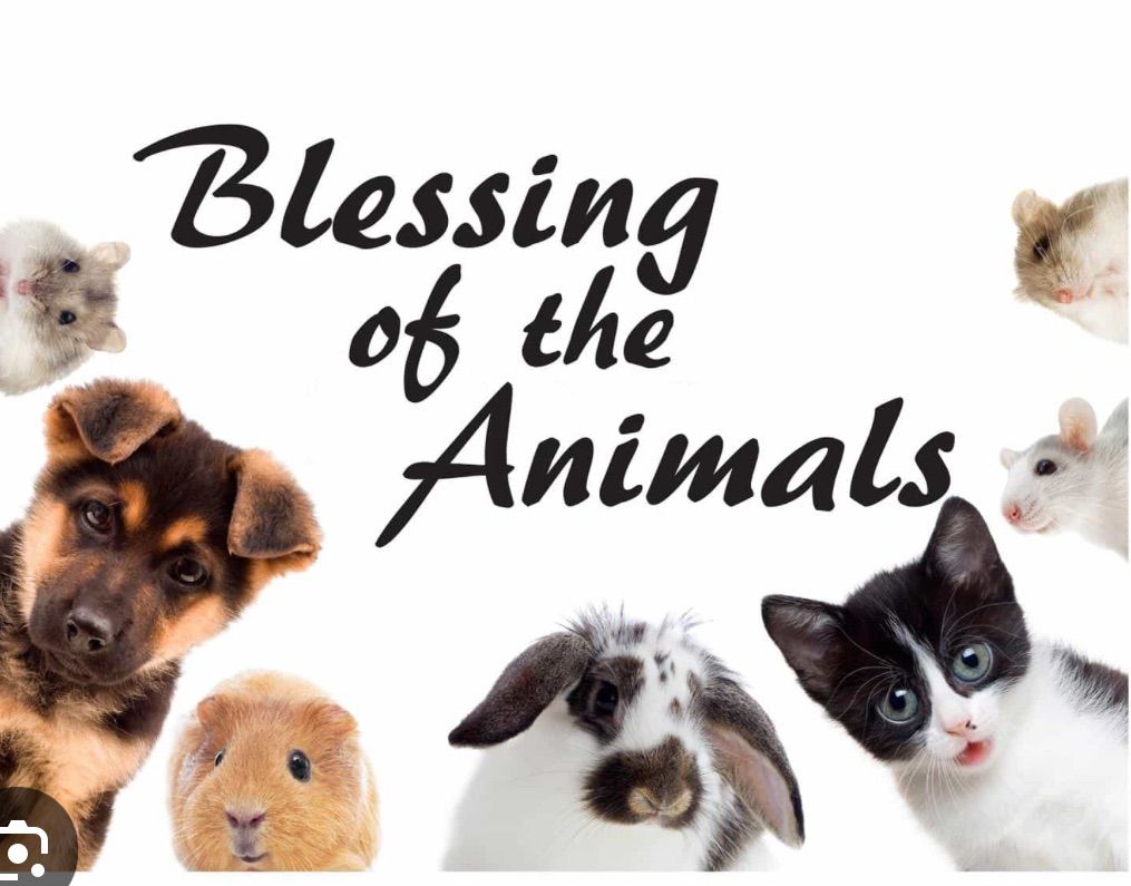 Annual Blessing of the Animals 