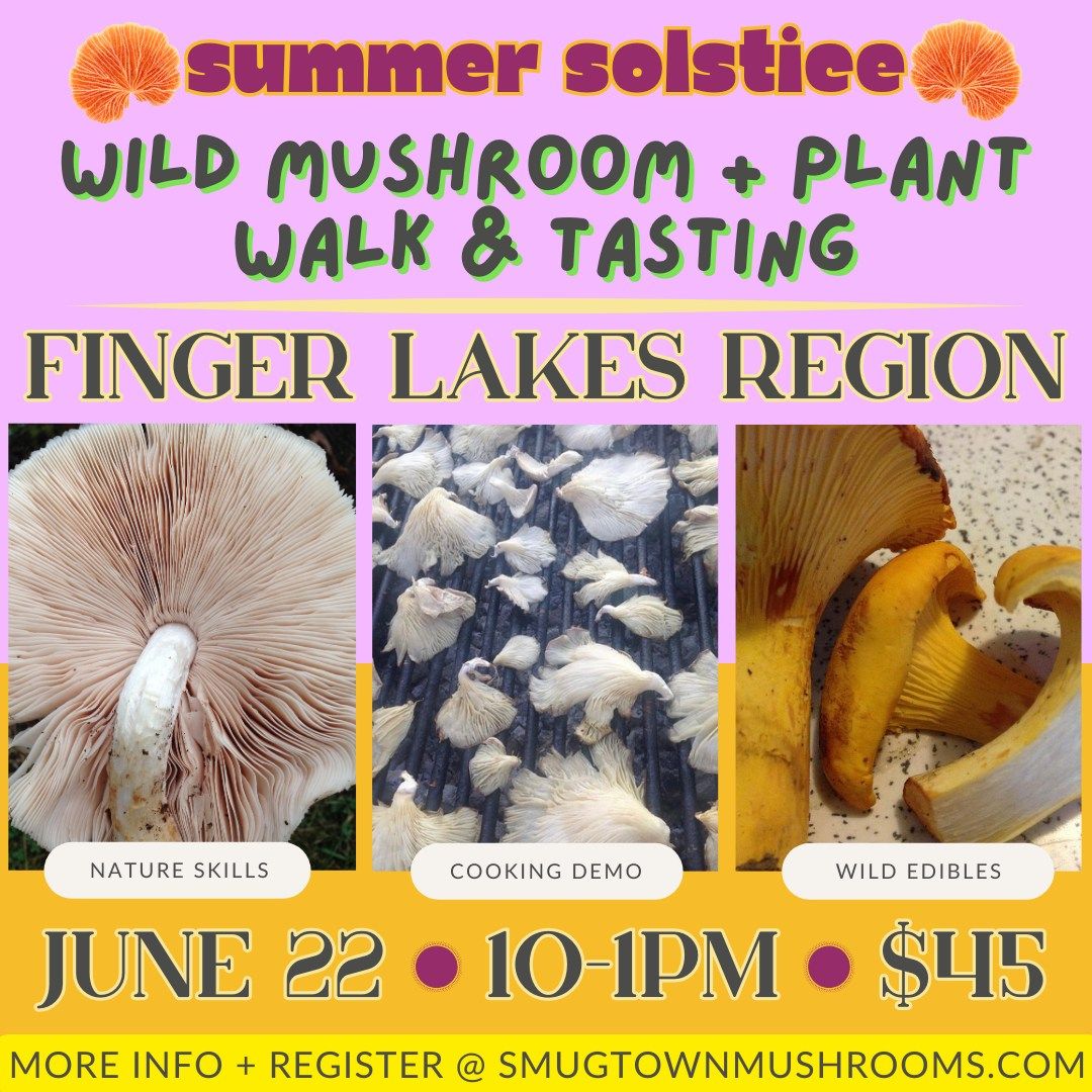 Summer Solstice Mushroom + Plant Walk & Tasting