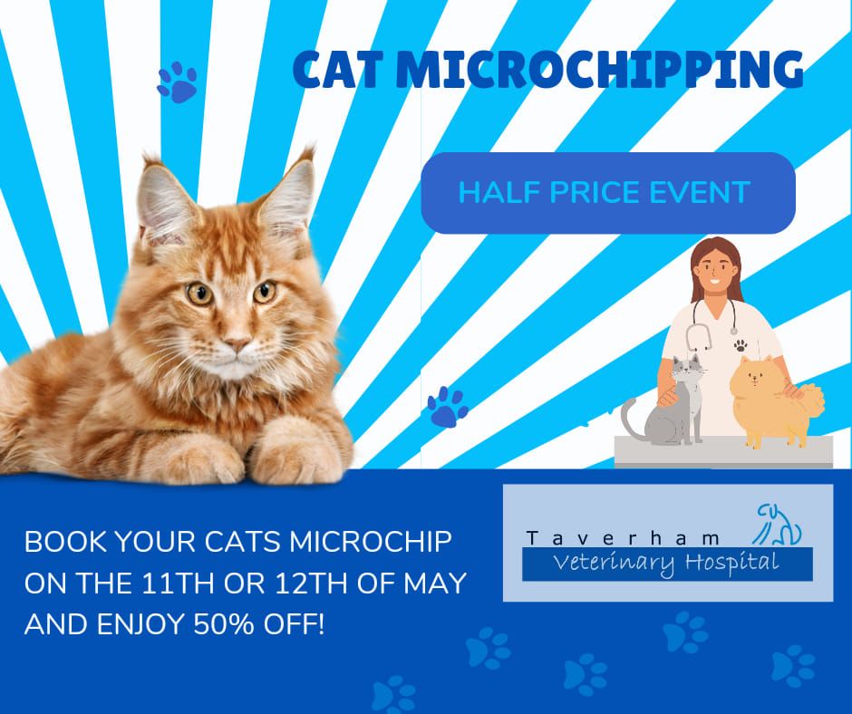 HALF PRICE CAT MICROCHIPPING 
