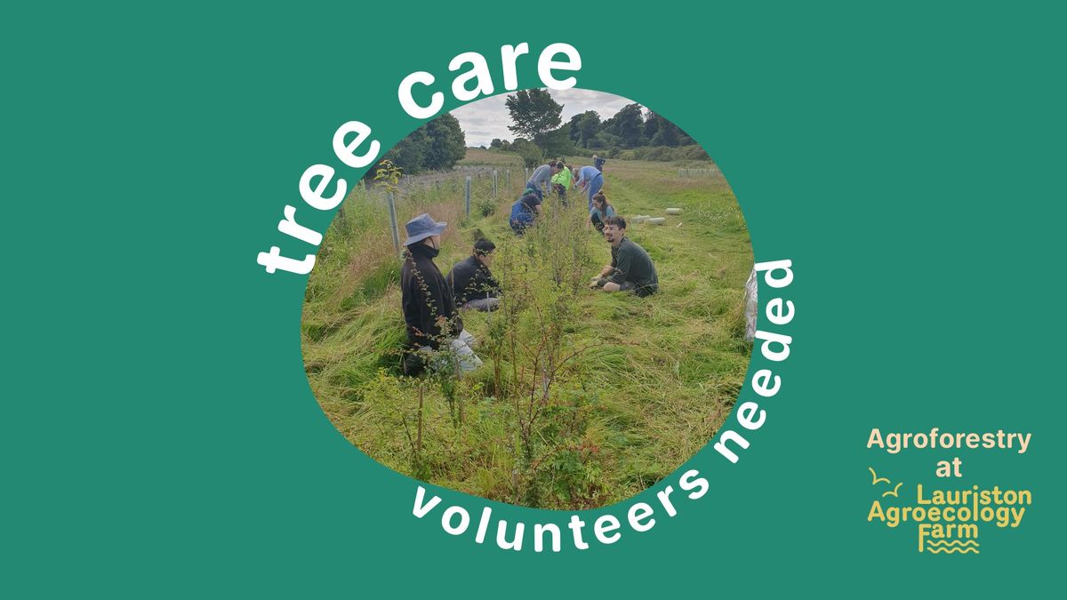 Tree Care Volunteering