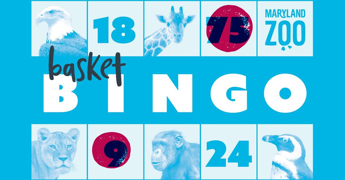 Basket Bingo