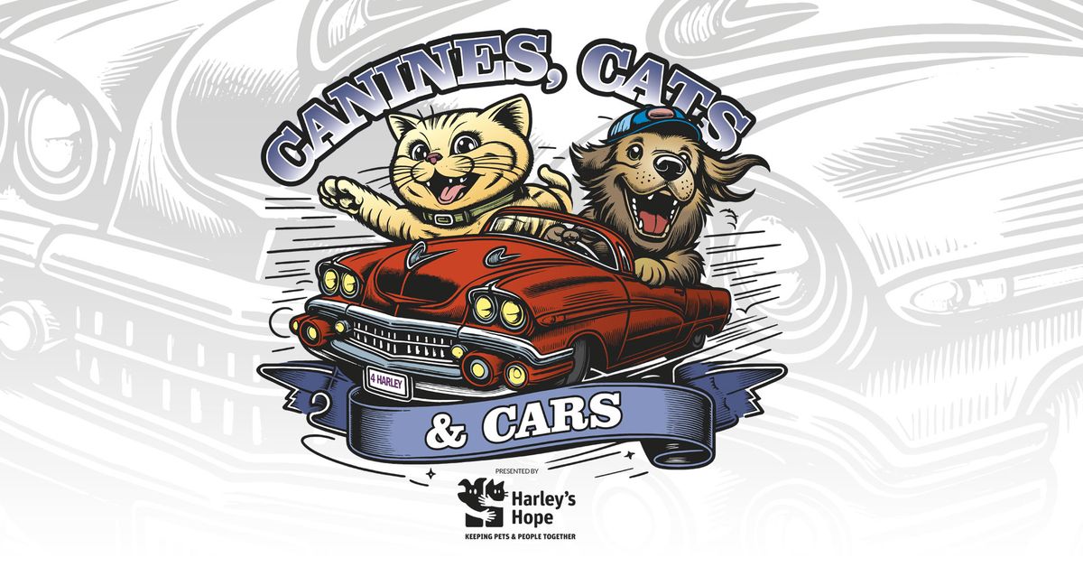Canines, Cats & Cars!