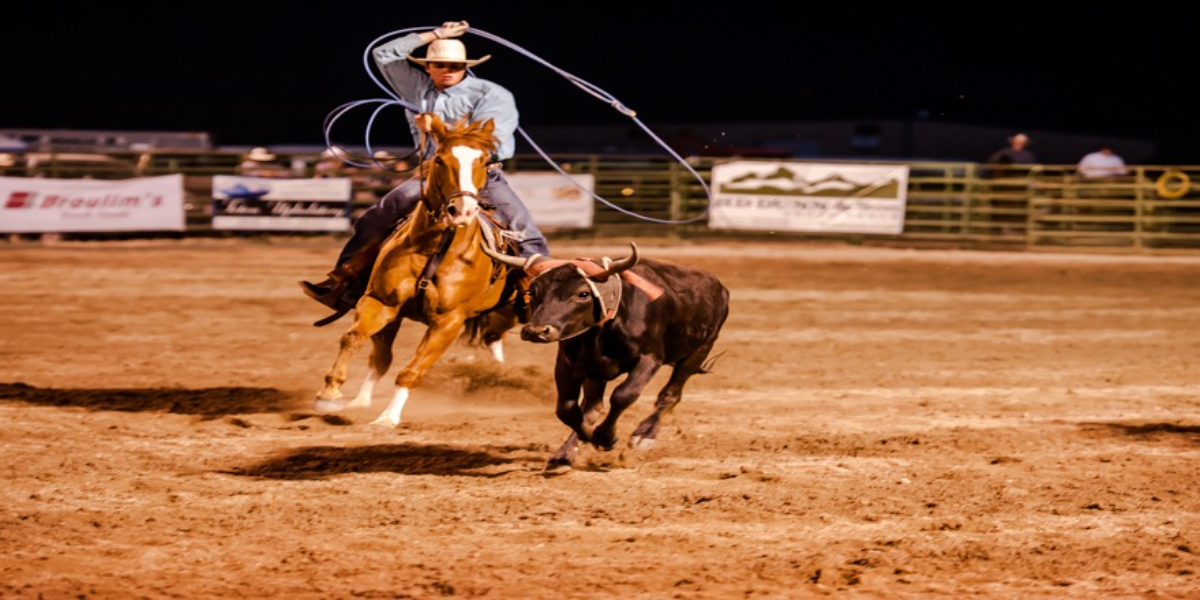 Teton Valley Rodeo