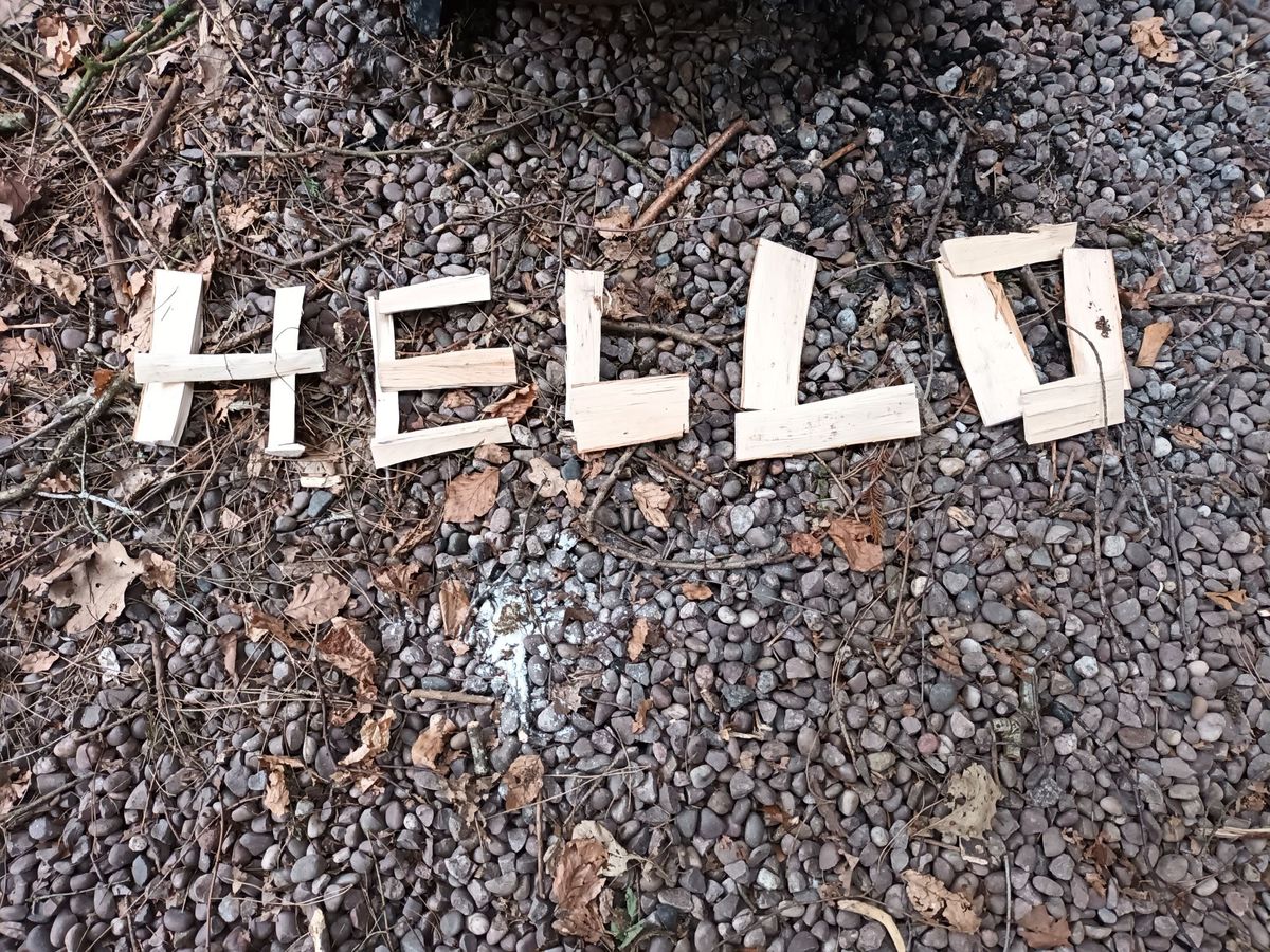 Forest School Assistant Training Course; Peterborough, Cambridgeshire