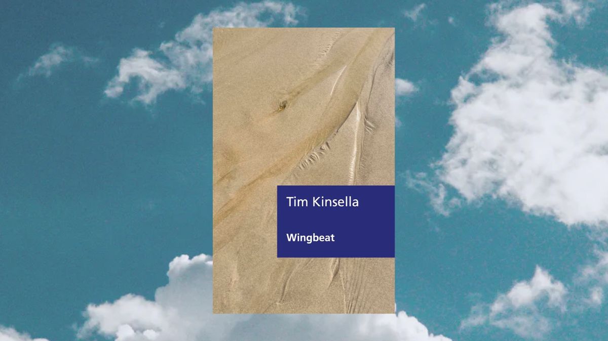 Launch of Wingbeat by Tim Kinsella
