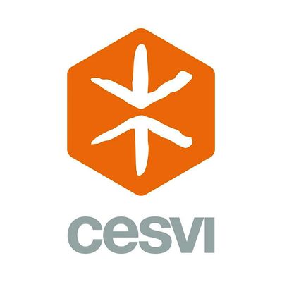 CESVI Fondazione - ETS