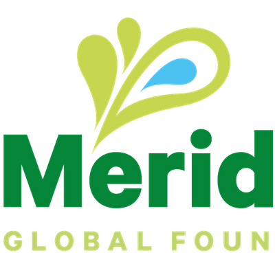 Meridian Global Foundation