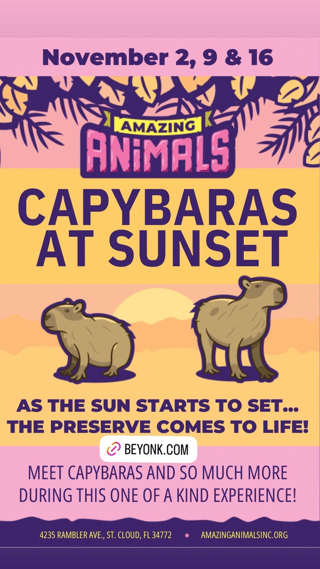 Capybaras at Sunset 