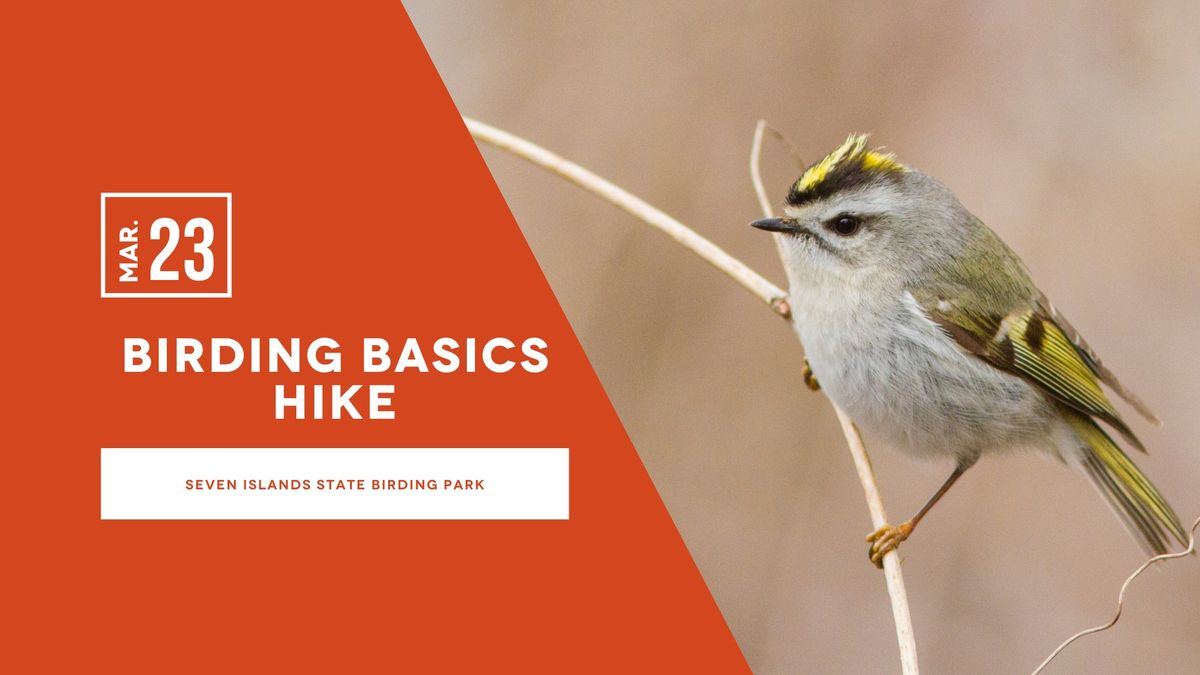 Birding Basics