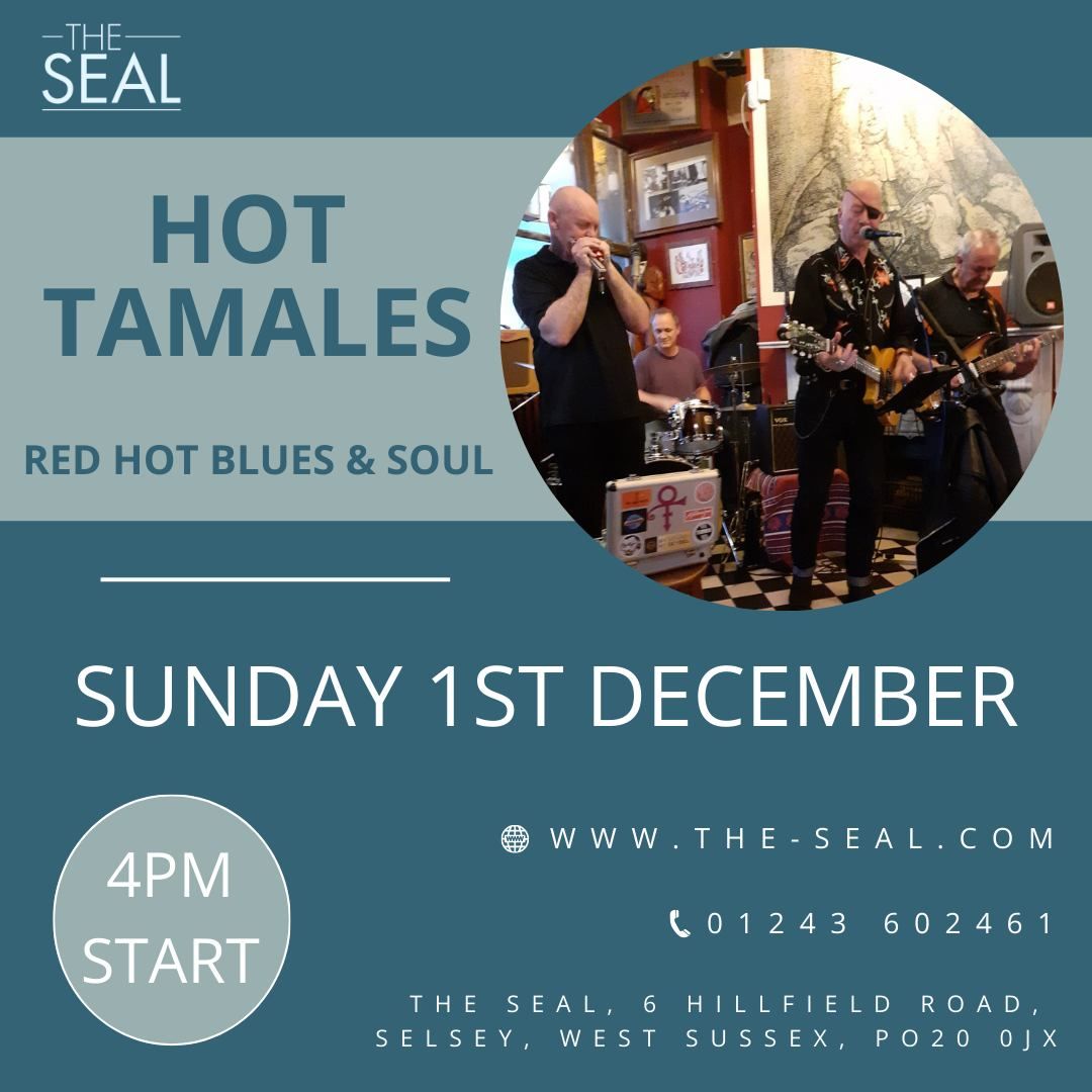 Hot Tamales live at The Seal, Selsey