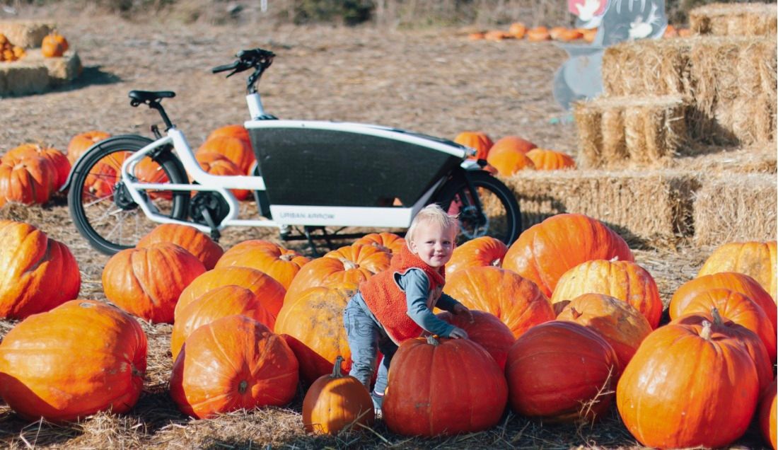 Fall Fest at the Gazelle Experience Center