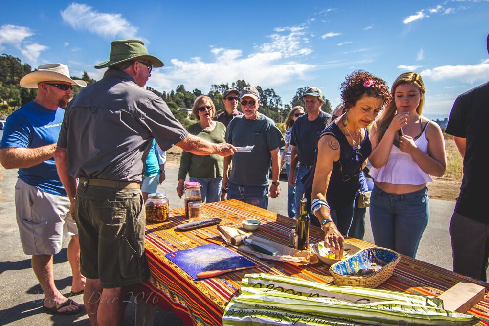 Open Farm Tours