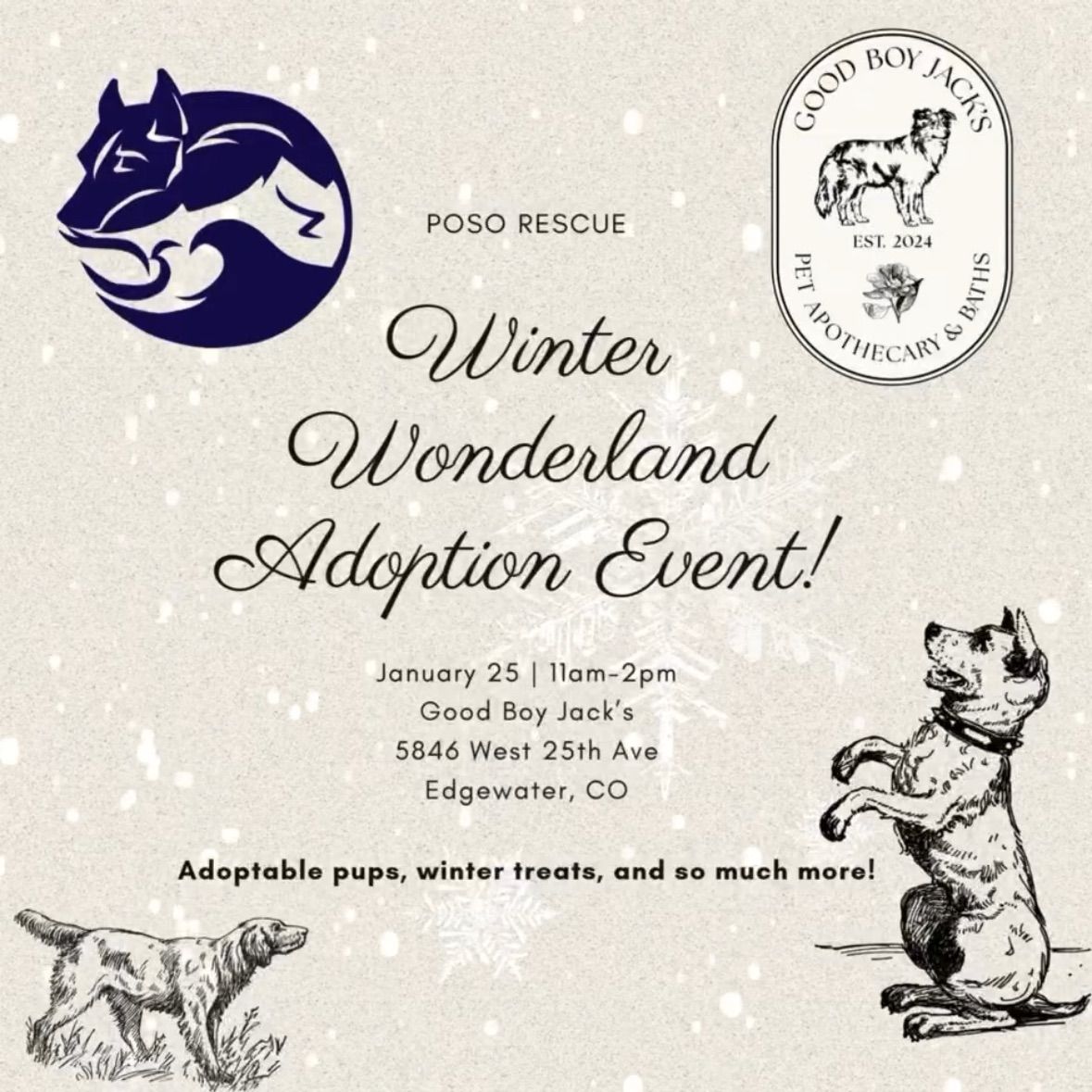 Winter Wonderland Adoption Event 