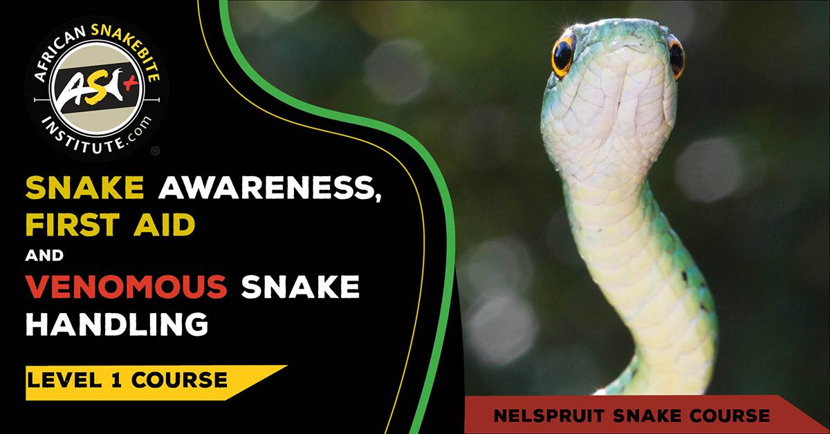 Snake Awareness First aid for Snakebite, Venomous Snake Handling