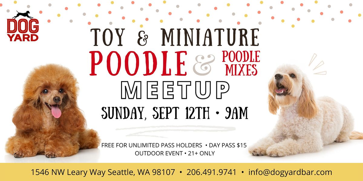 Toy & Miniature Poodle + Mixes Meetup at the Dog Yard in Ballard