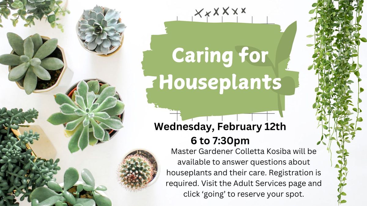 Caring for Houseplants with Colletta Kosiba