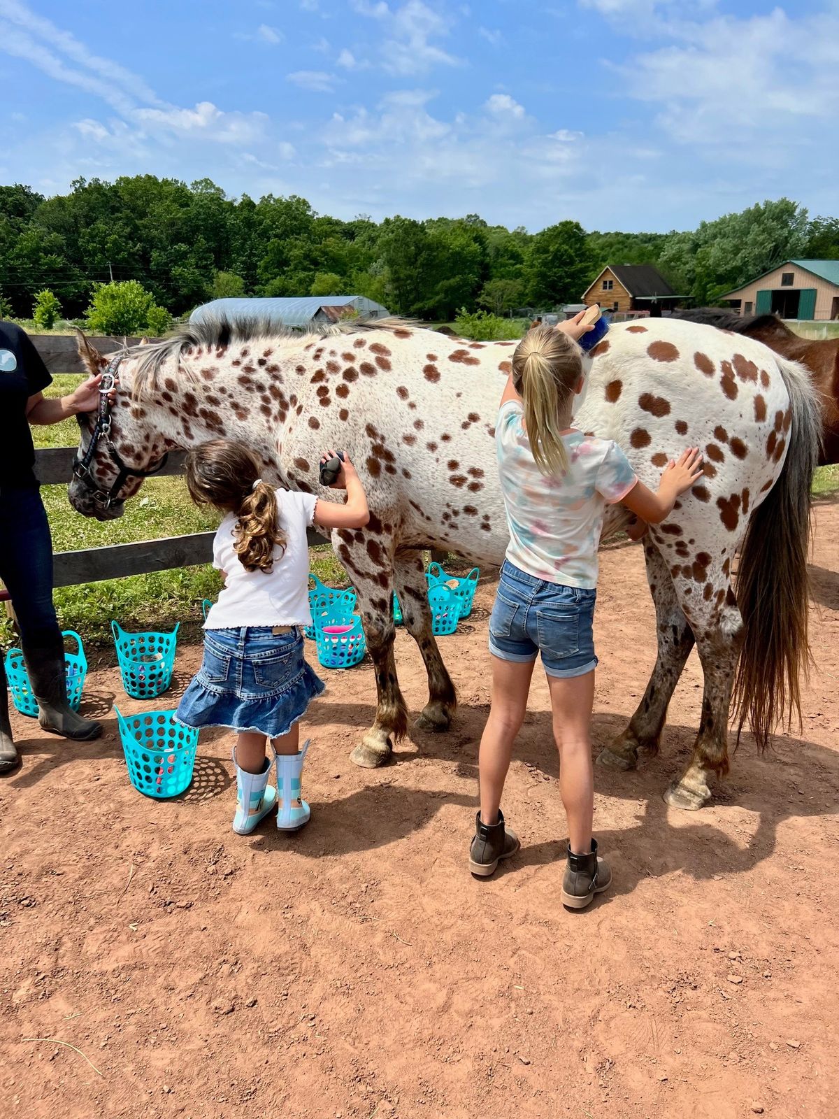 Horse Care Summer Day Camps [June 13, July 11, August 8]