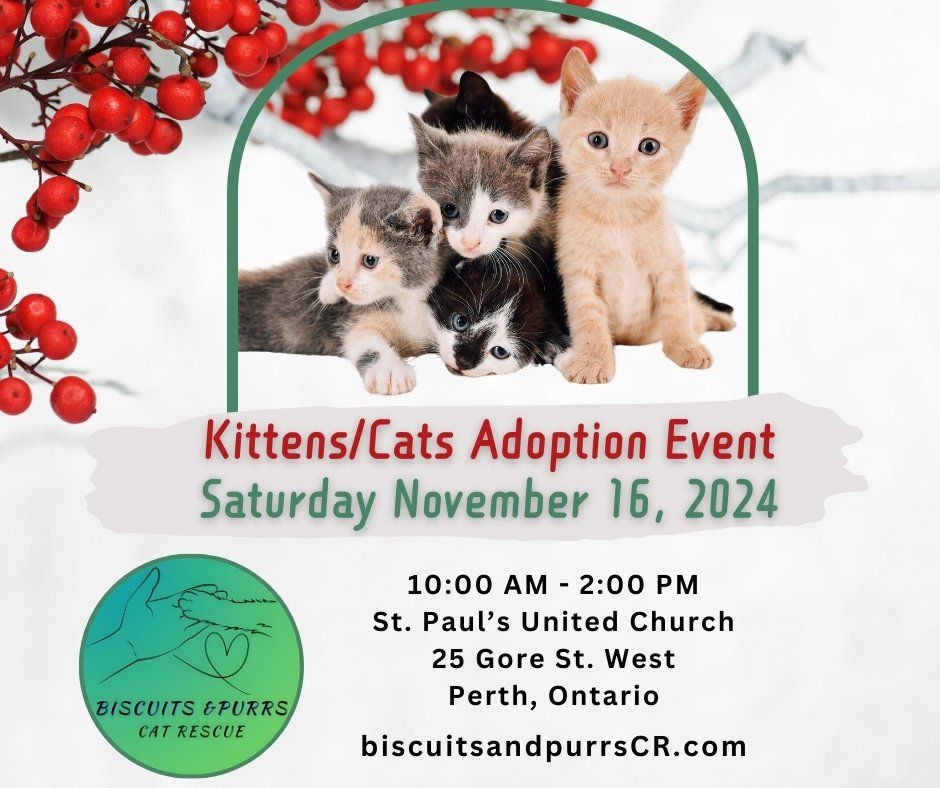 Cats and Kittens adoption event in PERTH at St Paul's United Church on 25 Gore st. West