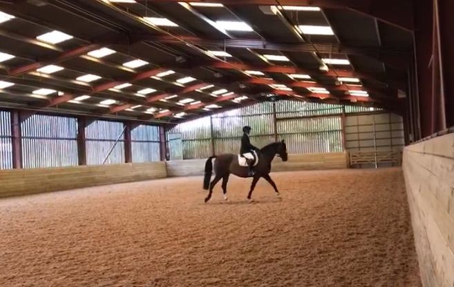 Open Dressage Competition