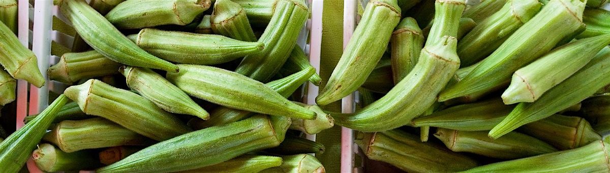 3\/28\/2026  Florida Native Okra:  A Guide to Growing and Preserving Okra