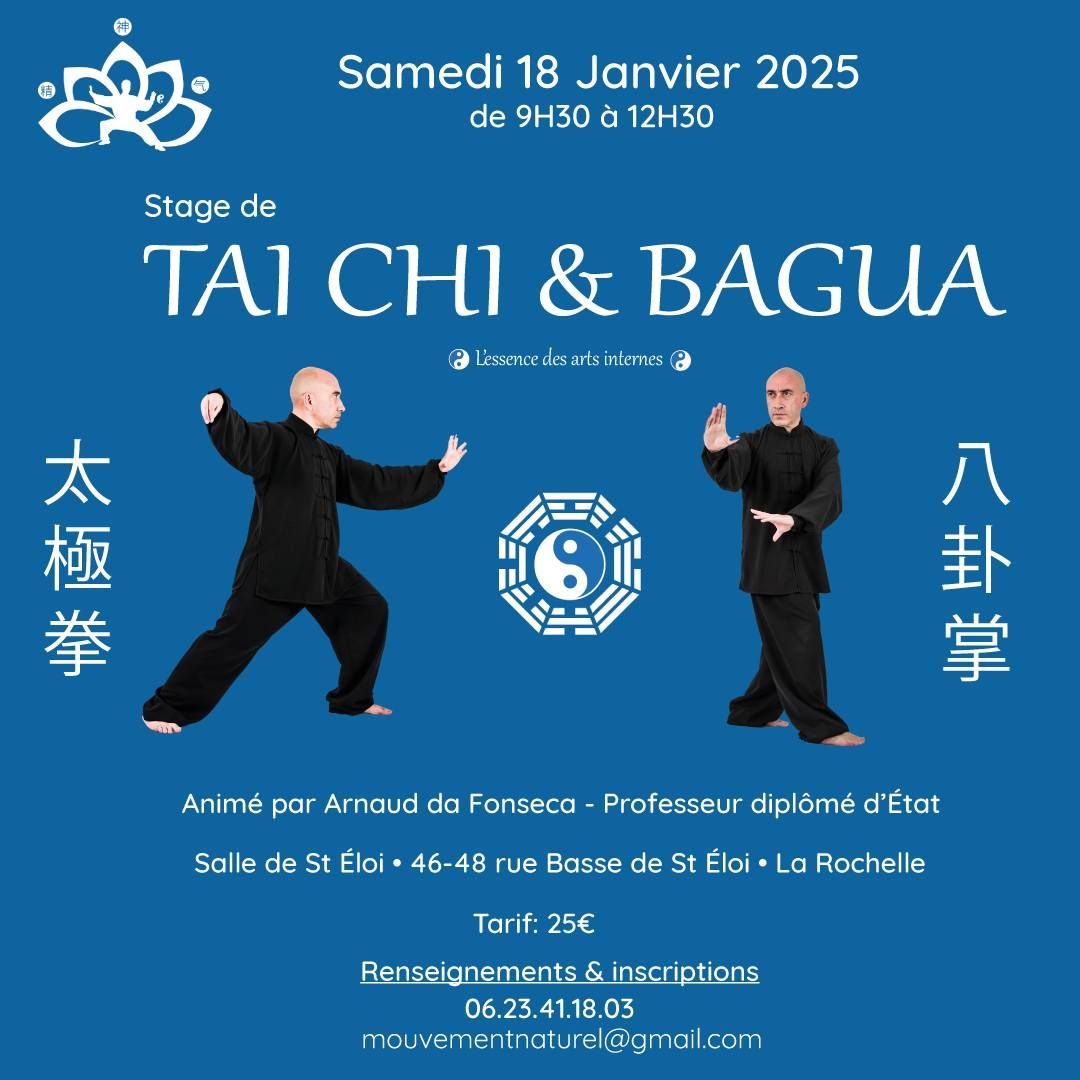 \u262f\ufe0f Stage de Tai Chi Chuan et Bagua Zhang \u262f\ufe0f