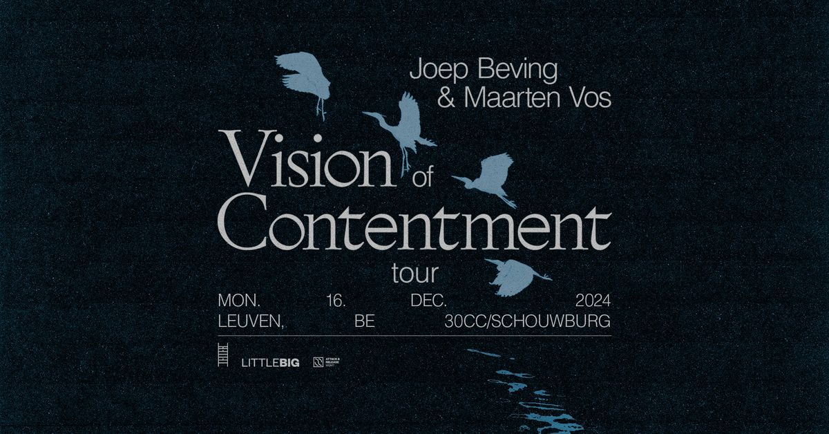 Joep Beving & Maarten Vos - vision of contentment