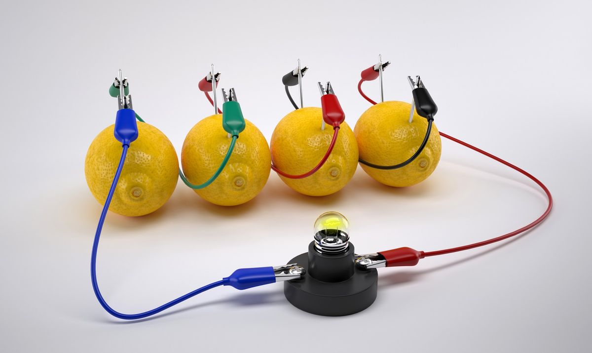 Fruit Powered Battery with Bugs R Us