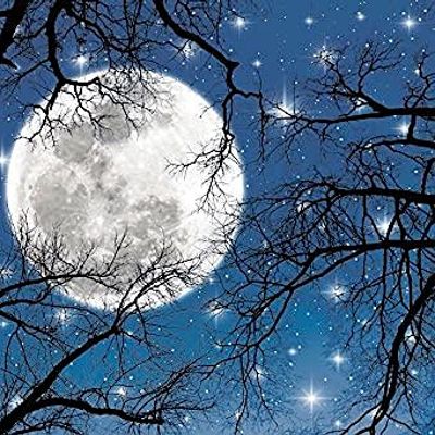 Grail of the Birch Moon