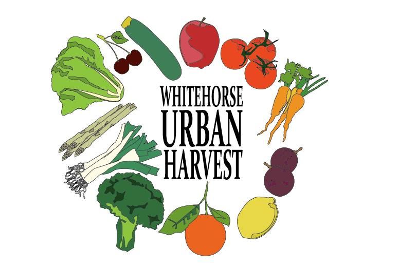 Combined Urban Harvest 21st September 