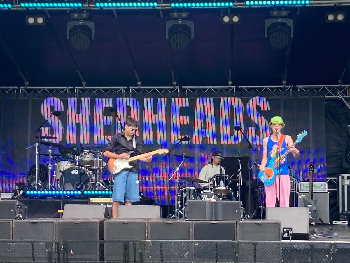 Shedheads at the Golden Bear Mapua