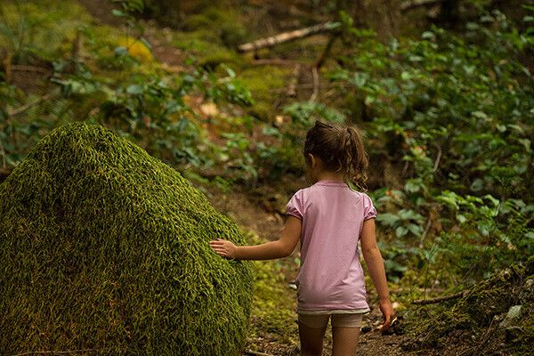 Children's Summer Camp: Enchanted Forest 
