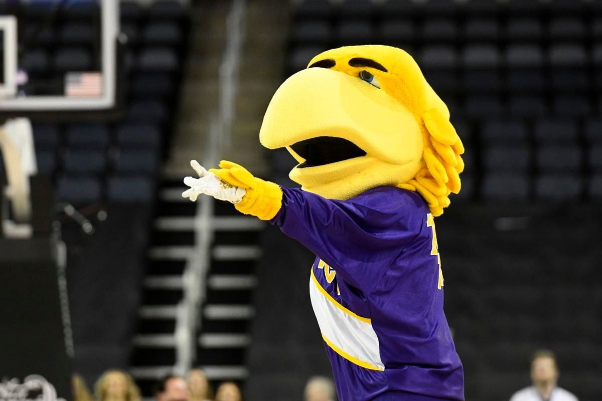 Tennessee Tech Golden Eagles at Vanderbilt Commodores Baseball