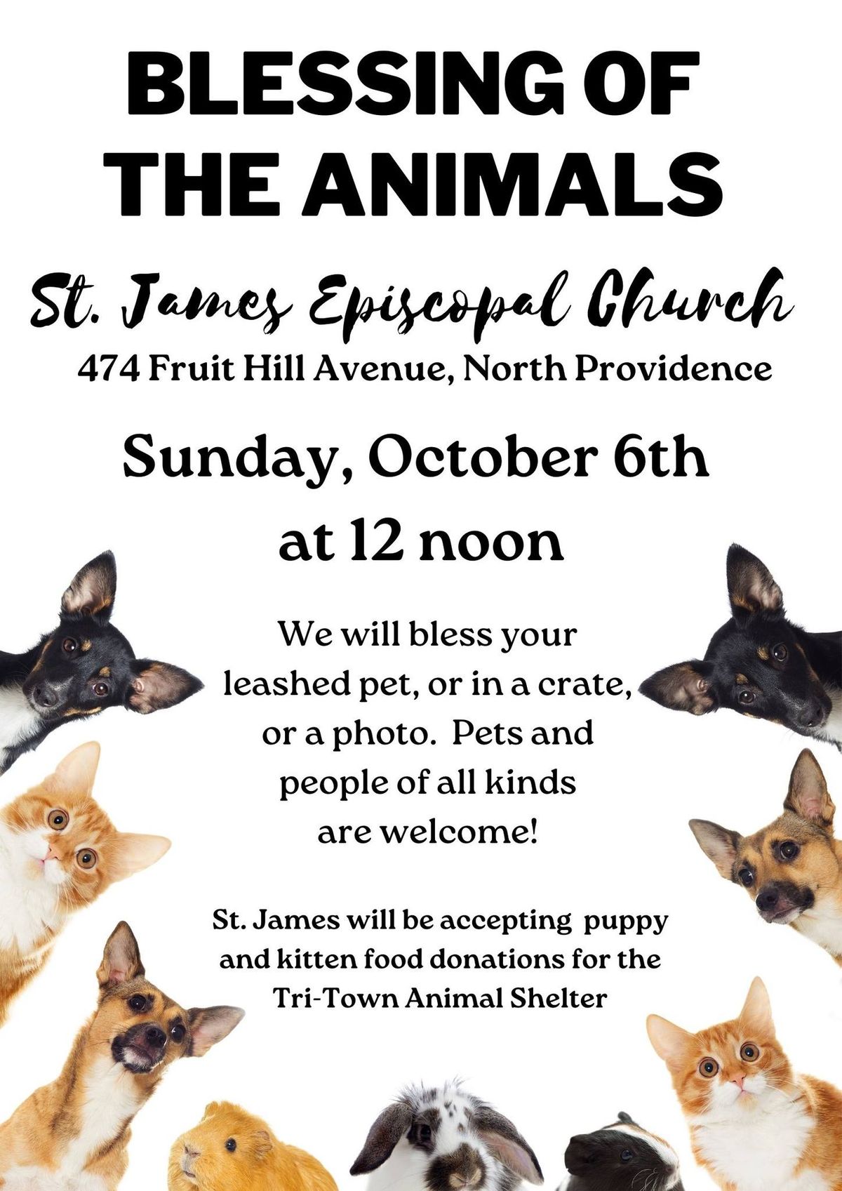 Blessing Of The Animals