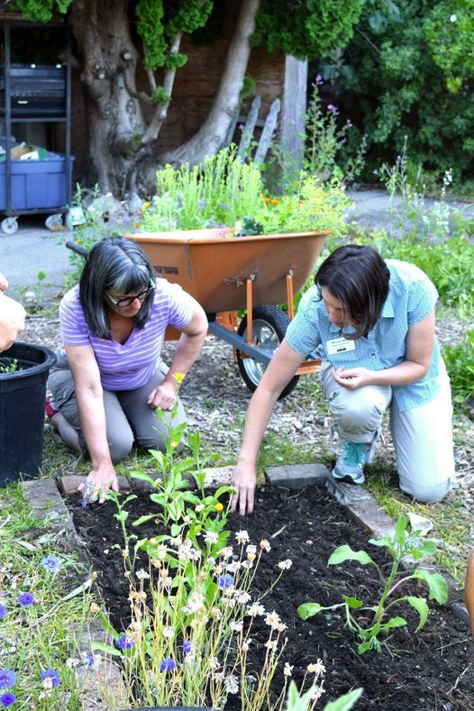 Fundamentals of Organic Gardening (Hybrid Intensive) in North Seattle
