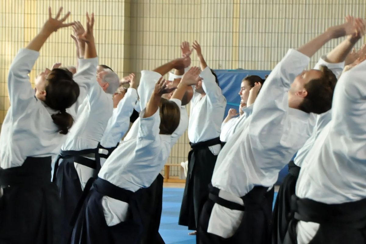 Aikido Summer in Berlin