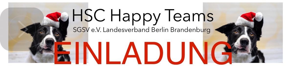 Nikolaus Pr\u00fcfung bei Happy Teams 