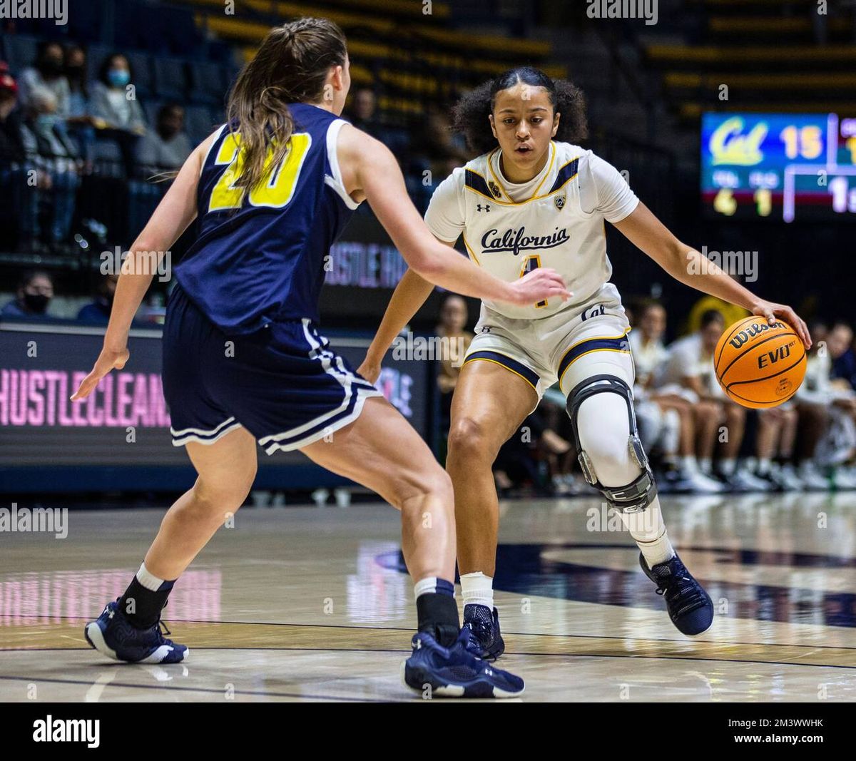 California Golden Bears Women's Basketball vs. Pittsburgh Panthers