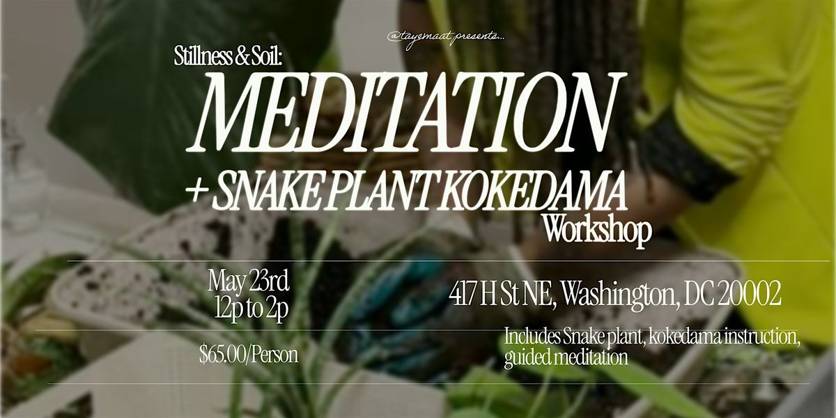 Stillness & Soil: Meditation + Snake Plant Kokedama Workshop