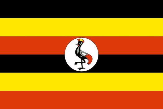 Evening at the Embassy of Uganda (In Person Event)