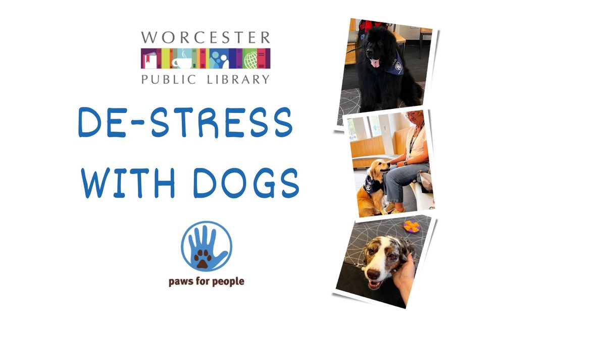 De-stress with Dogs