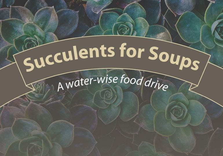 Succulents for Soups: a water-wise food drive 