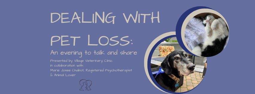 Dealing with Pet Loss 