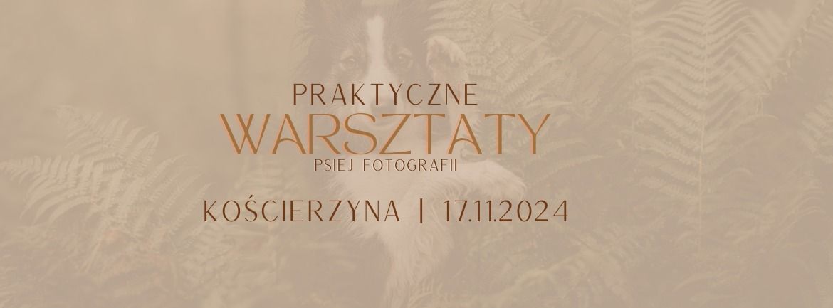 Praktyczne Warsztaty Psiej Fotografii! Zdob\u0105d\u017a niezb\u0119dn\u0105 wiedz\u0119 do sesji zdj\u0119ciowych