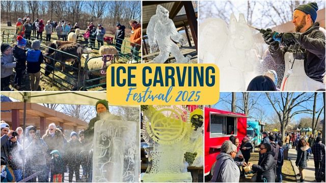 2025 Ice Carving Festival