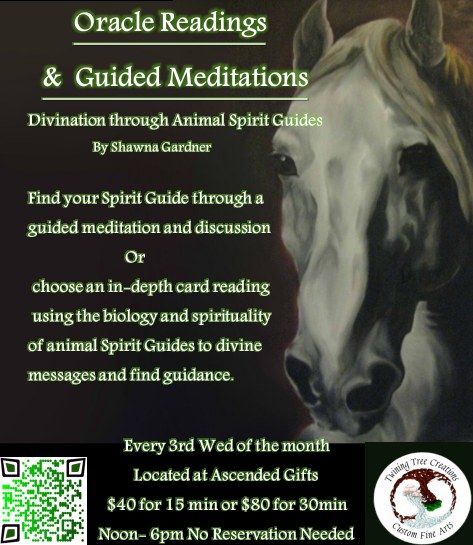 Oracle Readings & Guided Meditations - Divination through Animal Symbolism